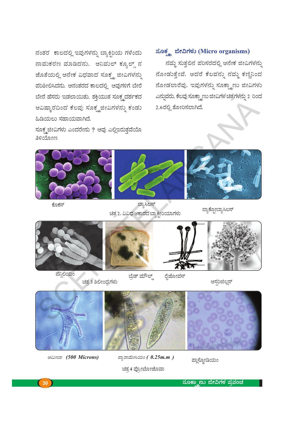 TS SCERT Class 8 Biological Science (Kannada Medium) Text Book - Page 42