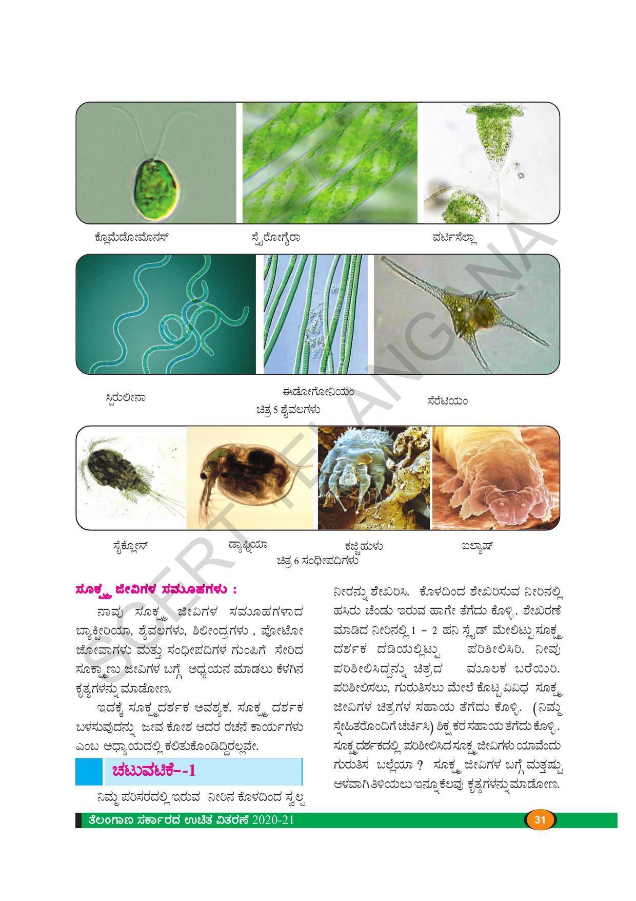 TS SCERT Class 8 Biological Science (Kannada Medium) Text Book - Page 43