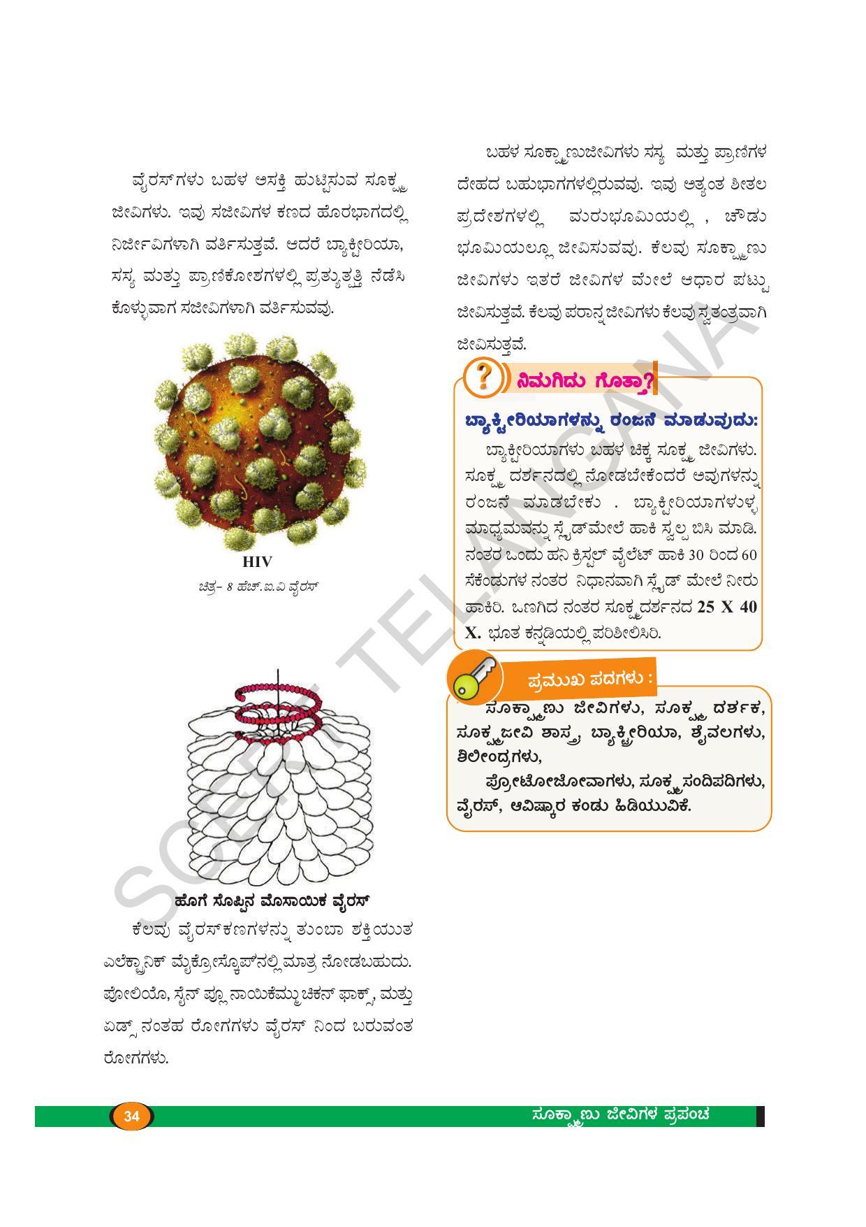 TS SCERT Class 8 Biological Science (Kannada Medium) Text Book - Page 46