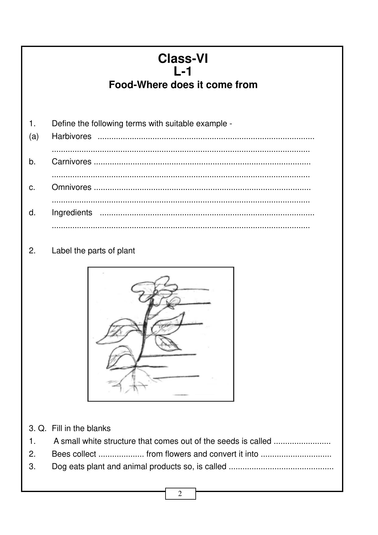 CBSE Worksheets for Class 6 Food-Where does it come Assignment - Page 1