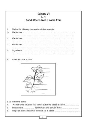 CBSE Worksheets for Class 6 Food-Where does it come Assignment