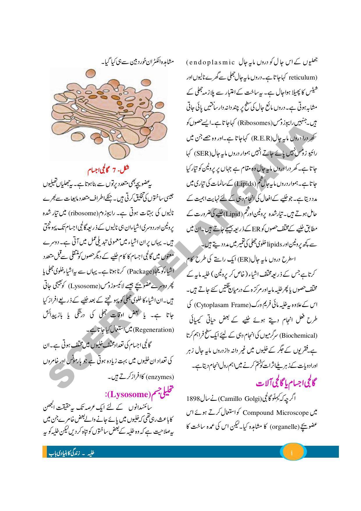 TS SCERT Class 9 Biological Science (Urdu Medium) Text Book - Page 18