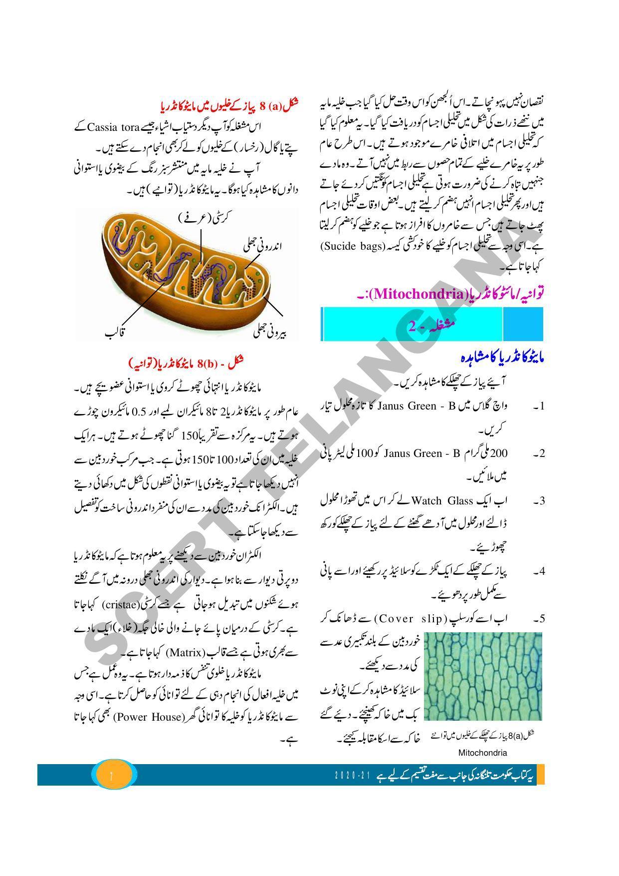 TS SCERT Class 9 Biological Science (Urdu Medium) Text Book - Page 19