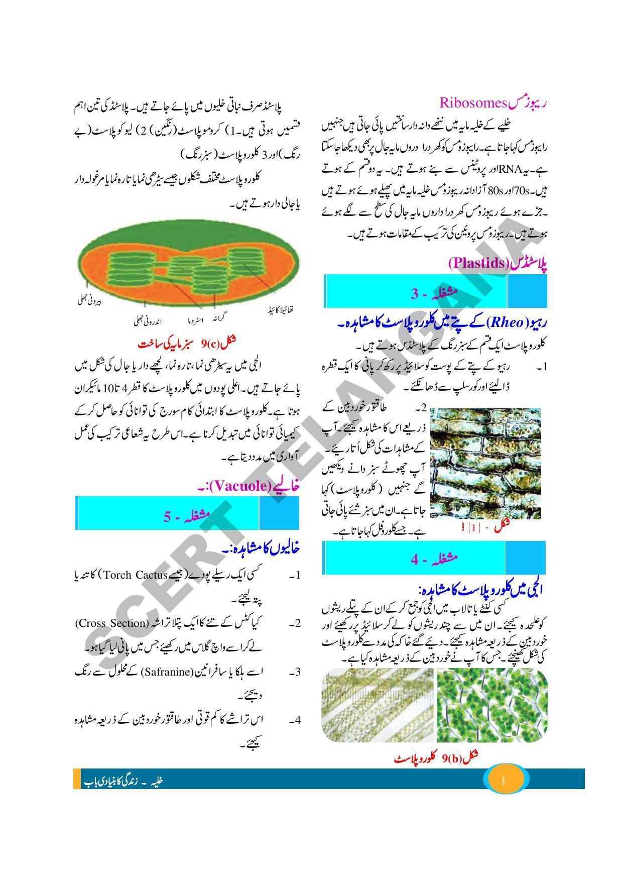 TS SCERT Class 9 Biological Science (Urdu Medium) Text Book - Page 20