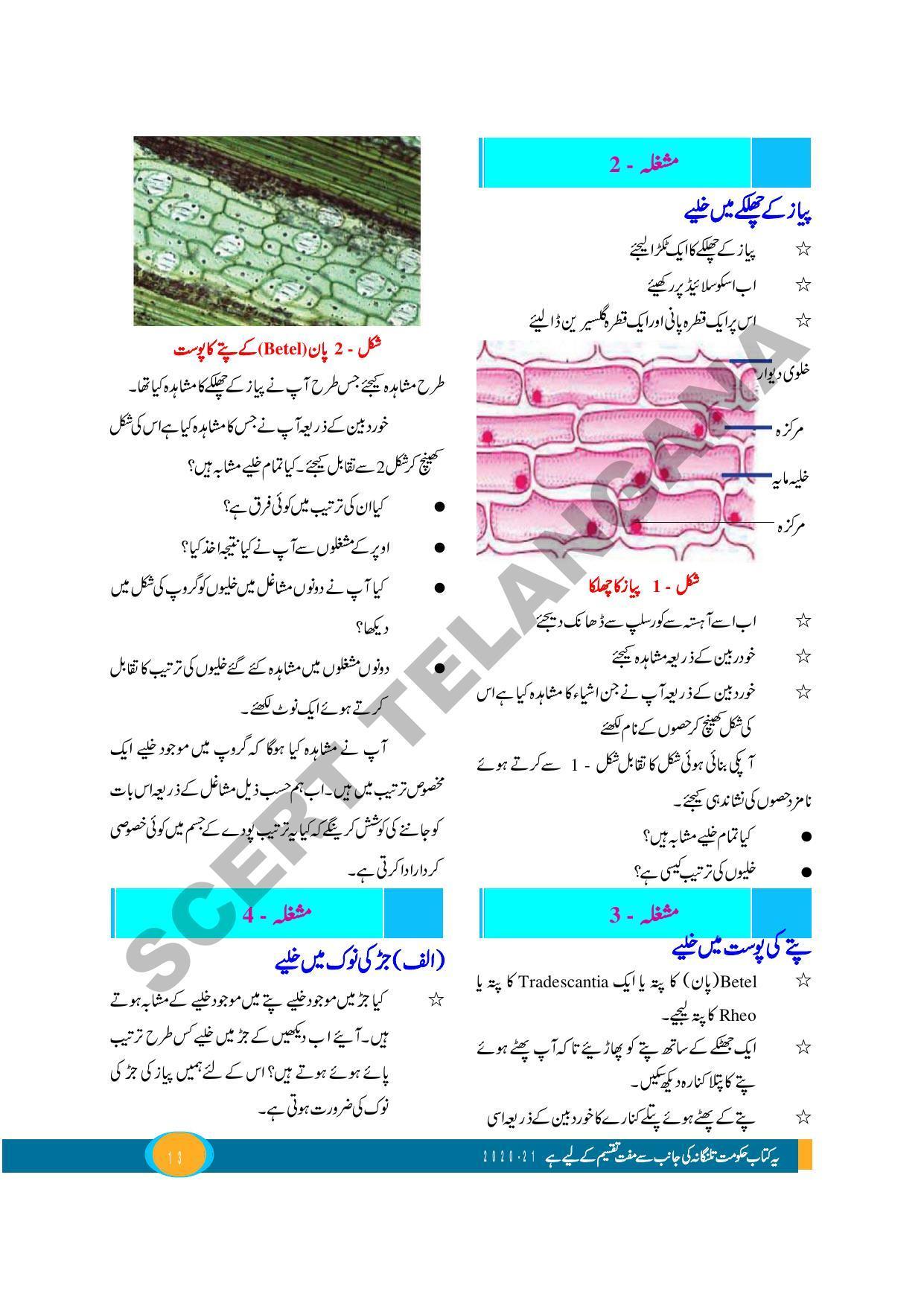 TS SCERT Class 9 Biological Science (Urdu Medium) Text Book - Page 25