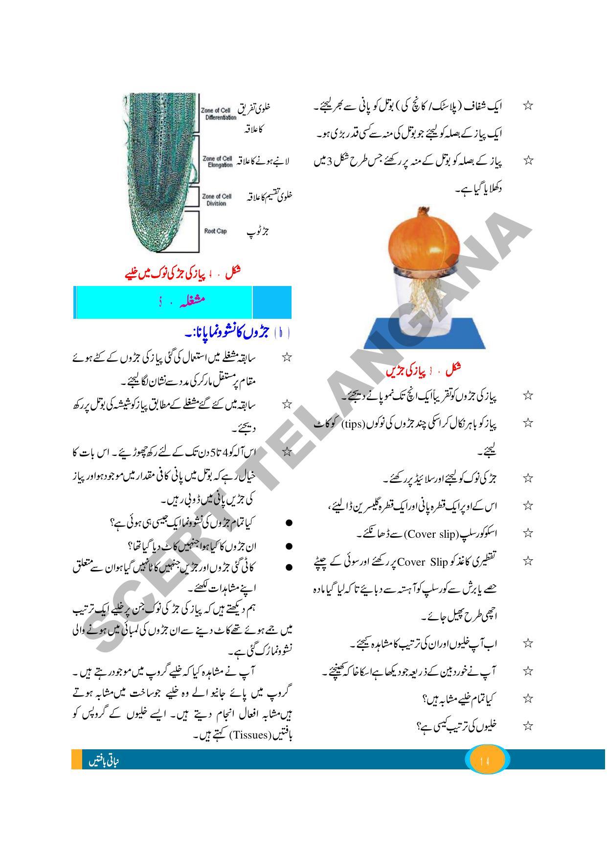 TS SCERT Class 9 Biological Science (Urdu Medium) Text Book - Page 26
