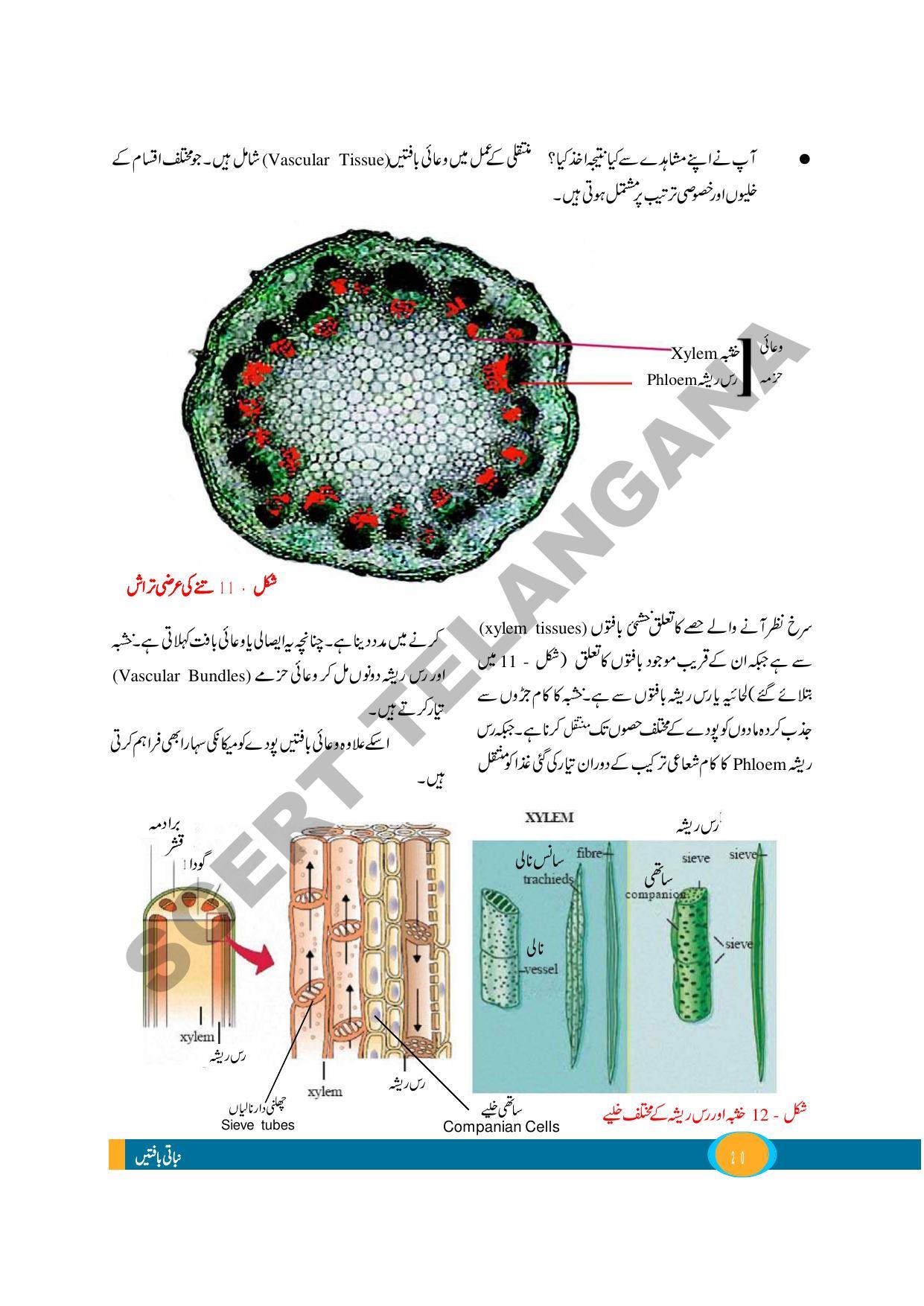 TS SCERT Class 9 Biological Science (Urdu Medium) Text Book - Page 32