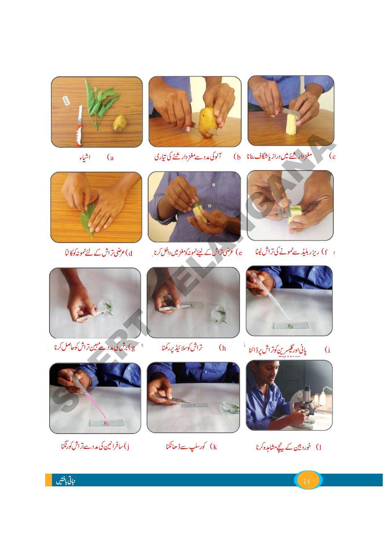 TS SCERT Class 9 Biological Science (Urdu Medium) Text Book - Page 36