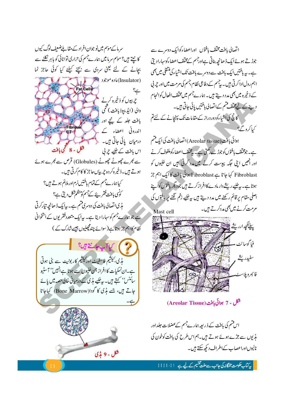 TS SCERT Class 9 Biological Science (Urdu Medium) Text Book - Page 41