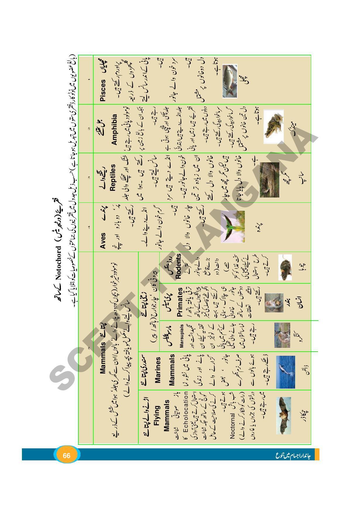 TS SCERT Class 9 Biological Science (Urdu Medium) Text Book - Page 78