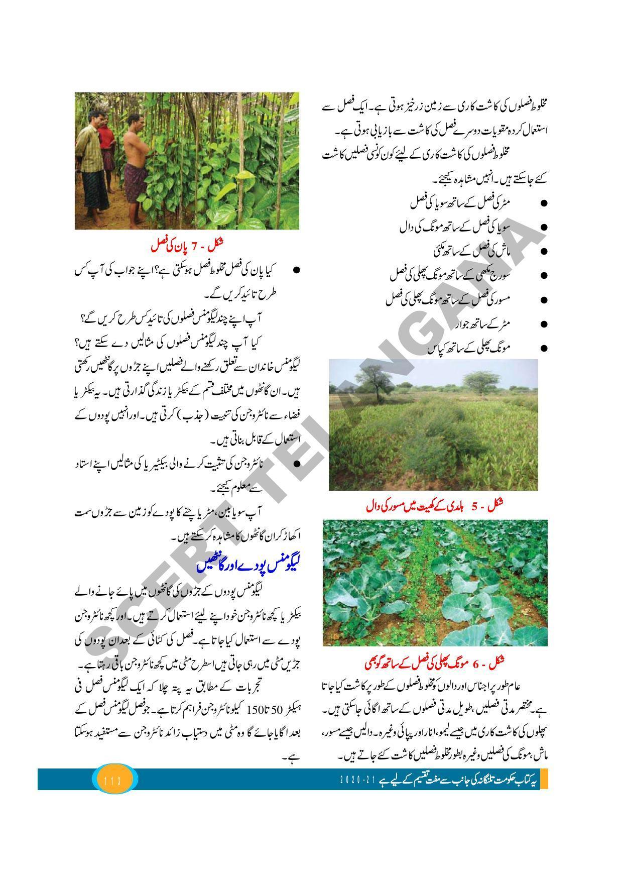 TS SCERT Class 9 Biological Science (Urdu Medium) Text Book - Page 125