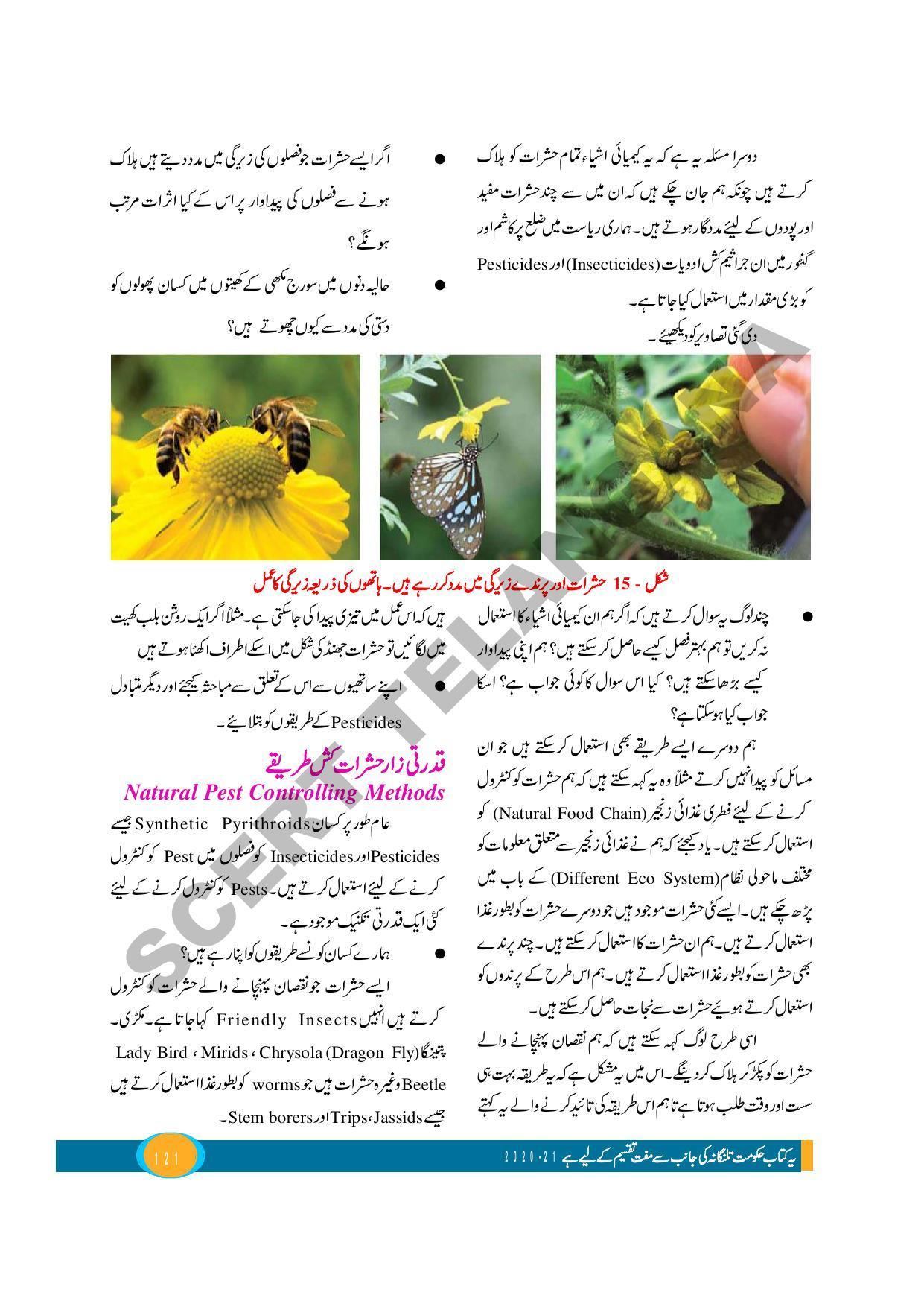 TS SCERT Class 9 Biological Science (Urdu Medium) Text Book - Page 133