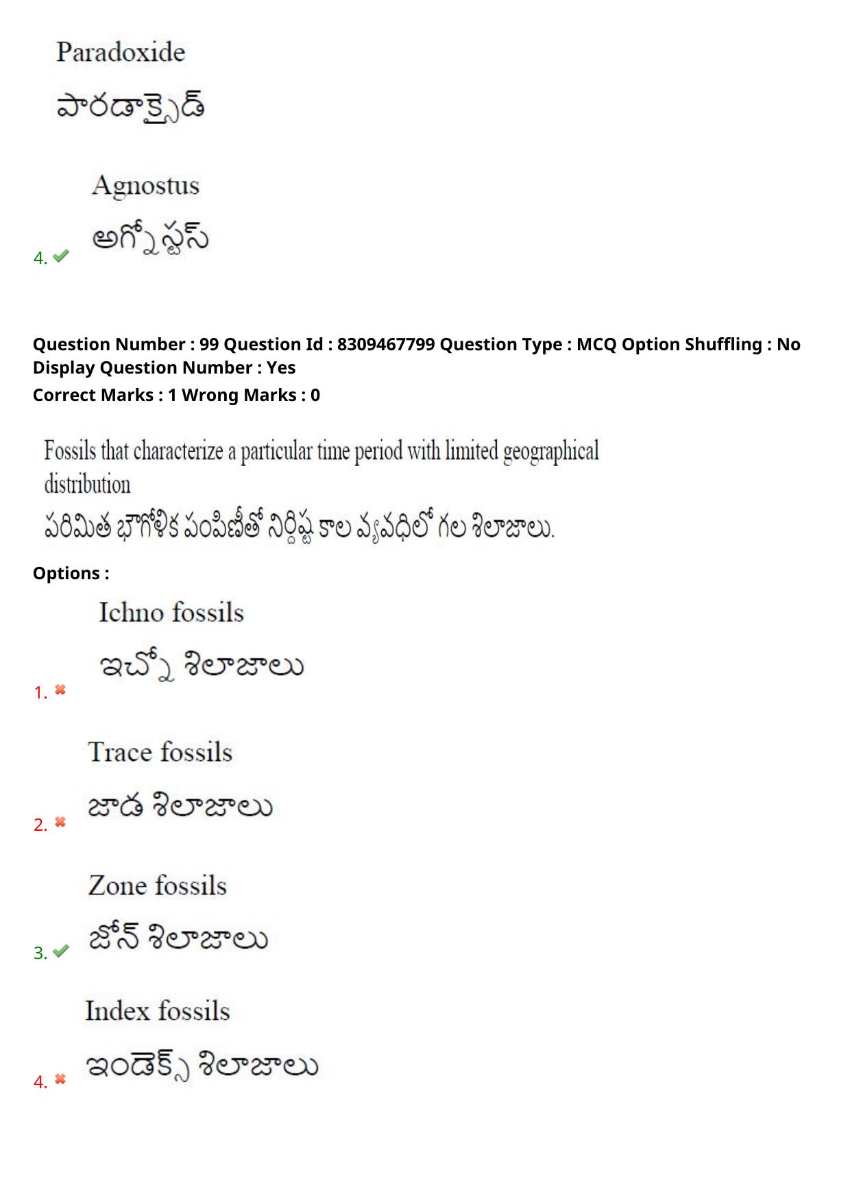 APPGCET 2024 Geology Paper with Answer Key - Page 75