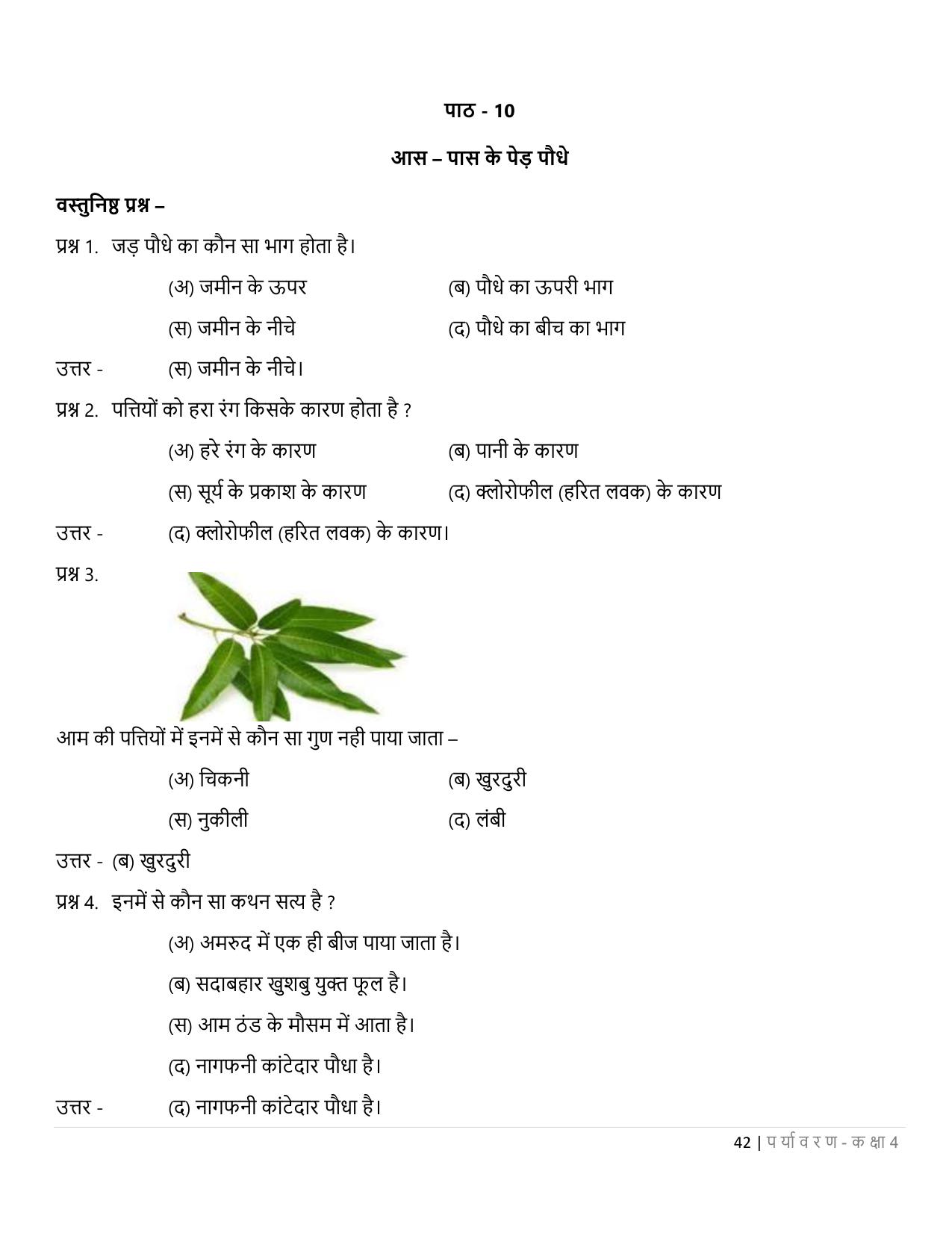 Chhattisgarh Board Class 4 EVS Question Bank - Page 47