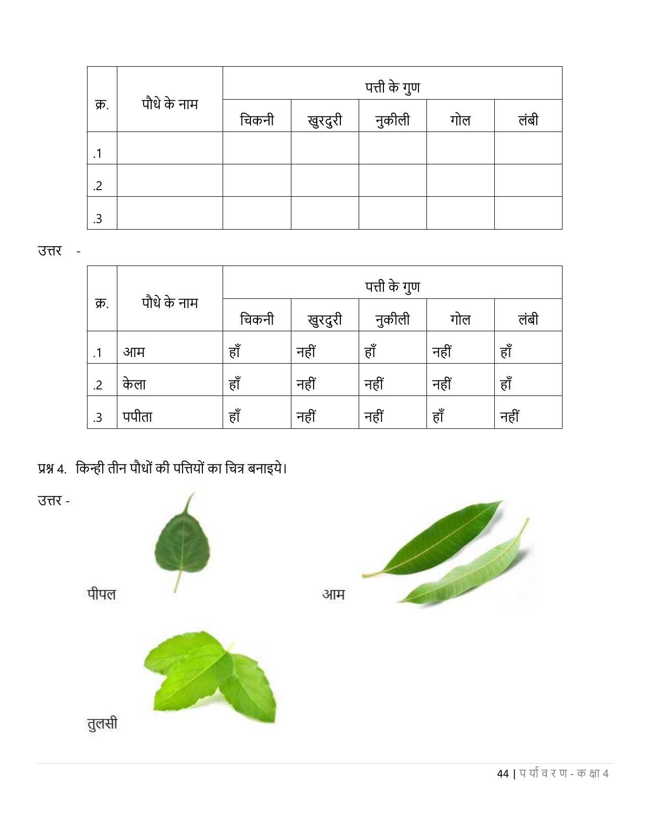 Chhattisgarh Board Class 4 EVS Question Bank - Page 49