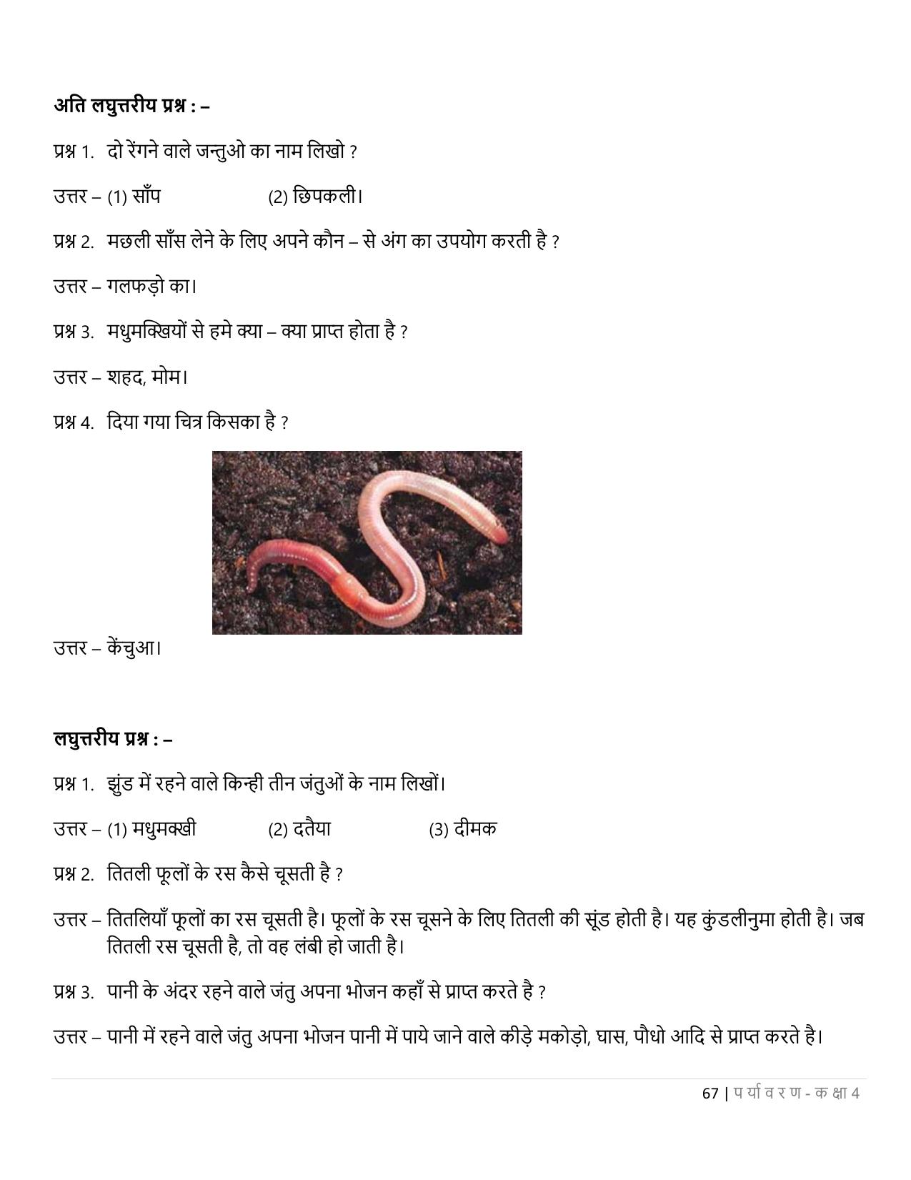 Chhattisgarh Board Class 4 EVS Question Bank - Page 72