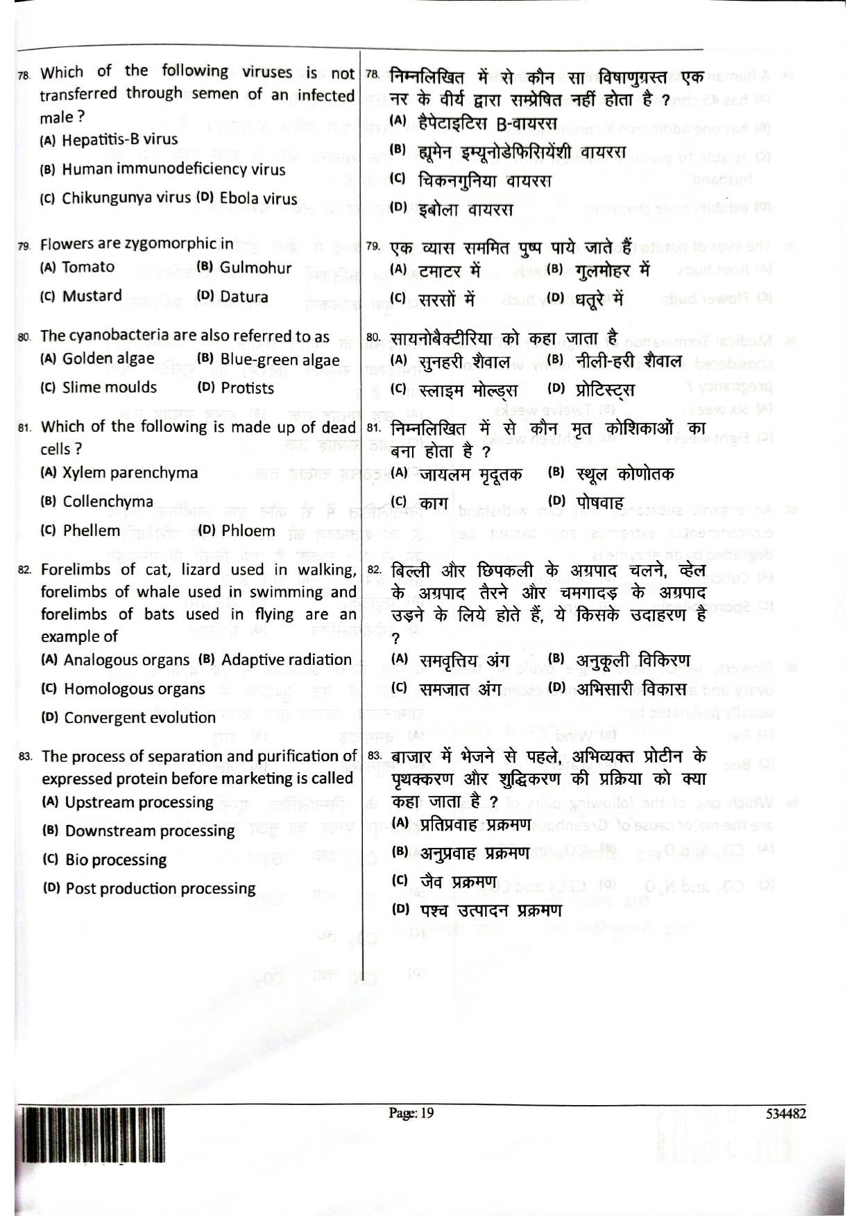 JEECUP GROUP E1 Sample Papers - Page 19