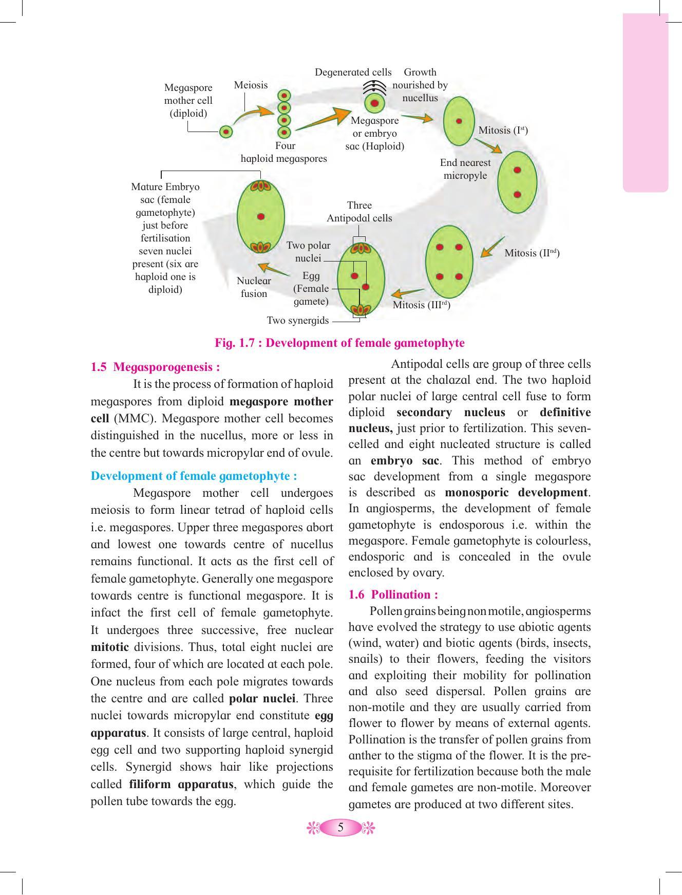 Maharashtra Board Class 12 Chemistry Textbook - Page 15