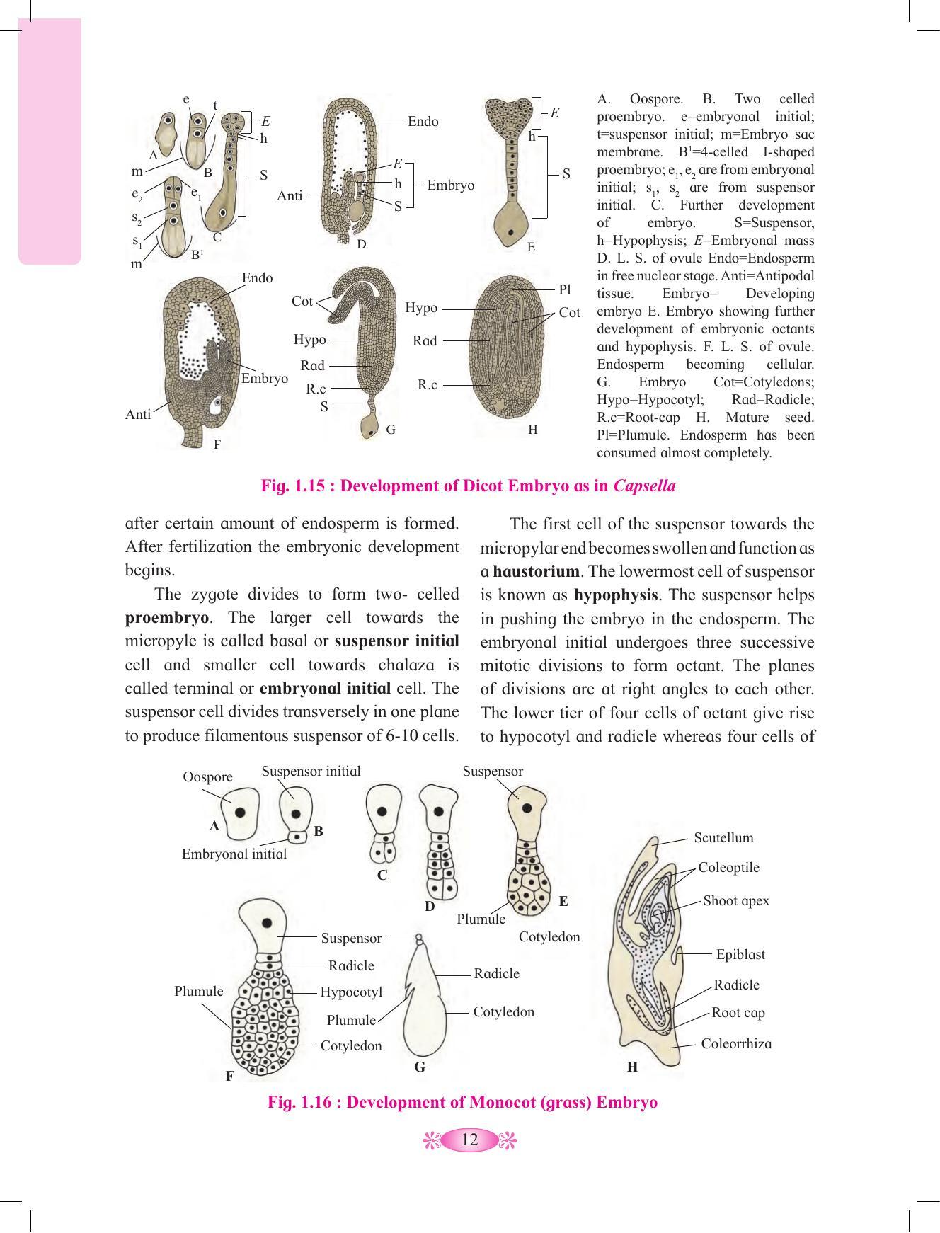 Maharashtra Board Class 12 Chemistry Textbook - Page 22