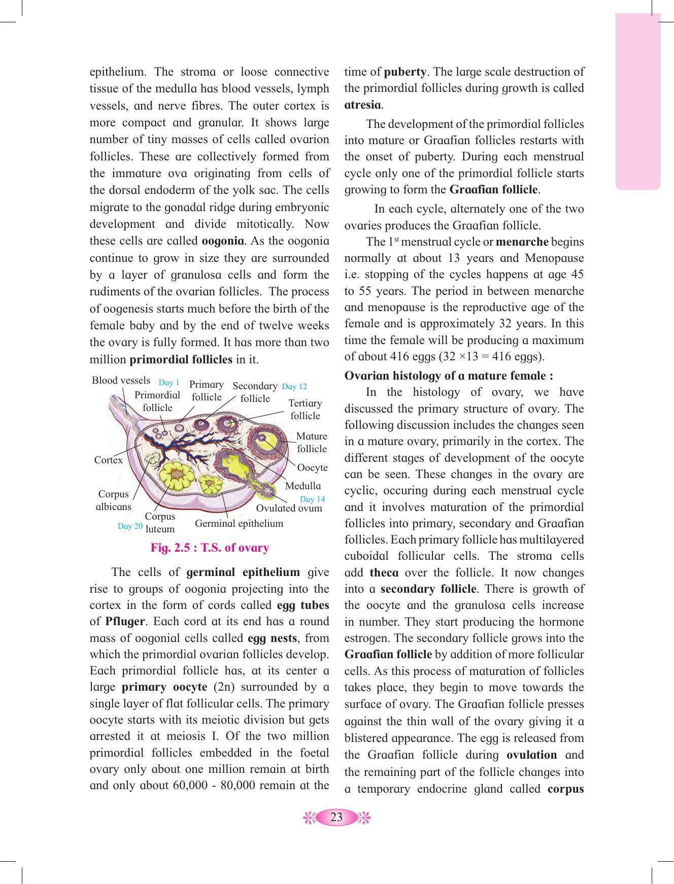 Maharashtra Board Class 12 Chemistry Textbook - Page 33
