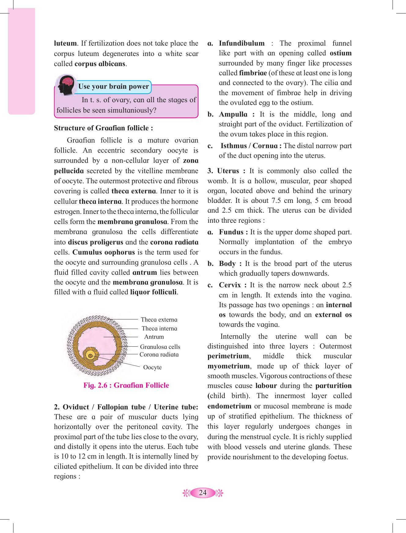 Maharashtra Board Class 12 Chemistry Textbook - Page 34