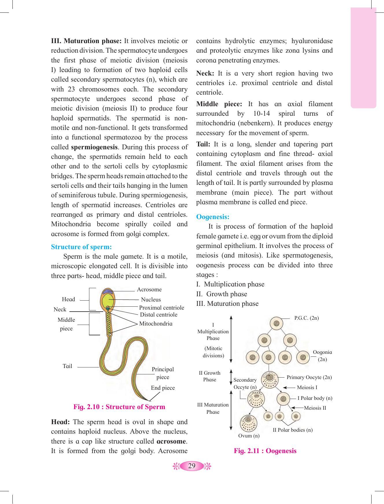 Maharashtra Board Class 12 Chemistry Textbook - Page 39