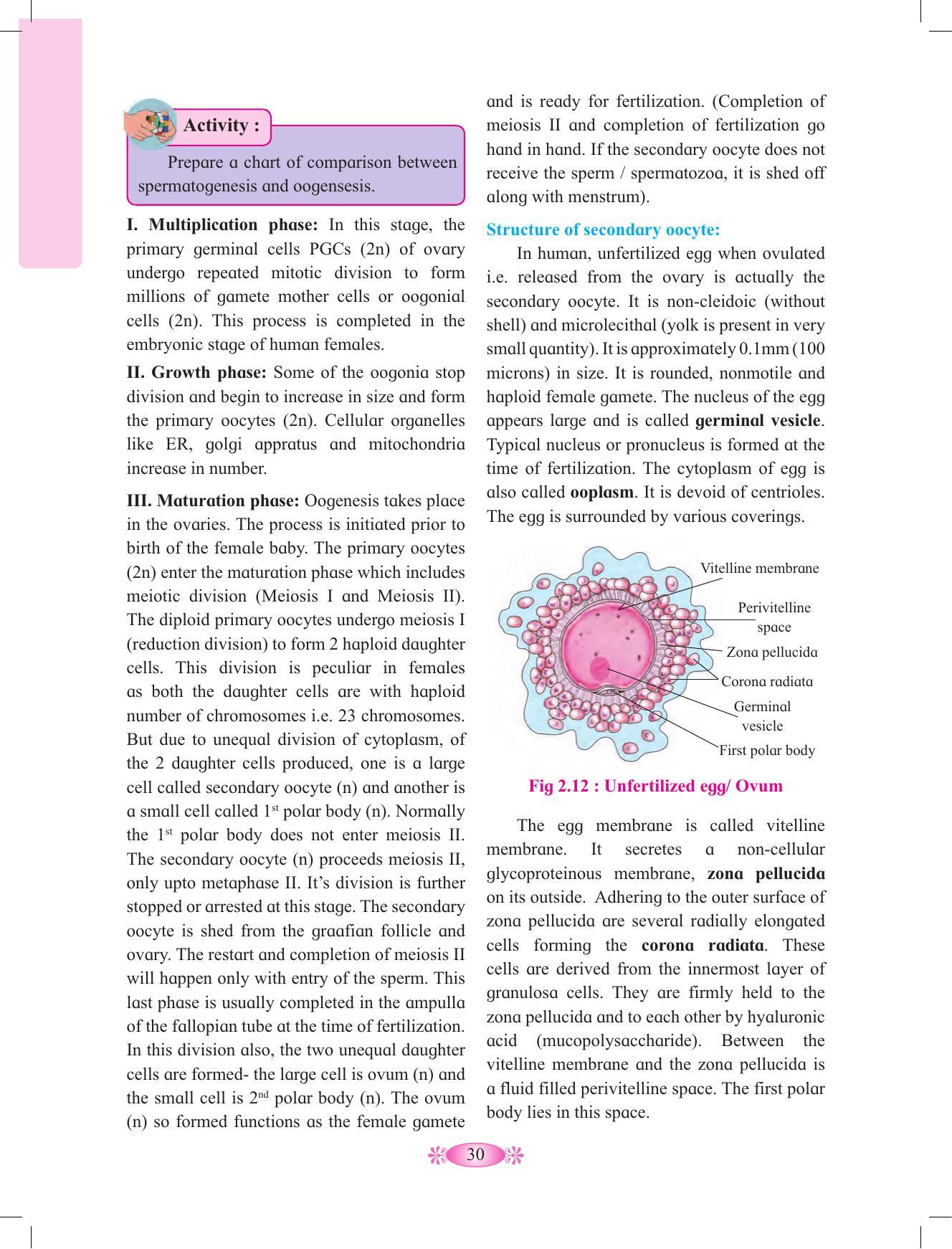 Maharashtra Board Class 12 Chemistry Textbook - Page 40