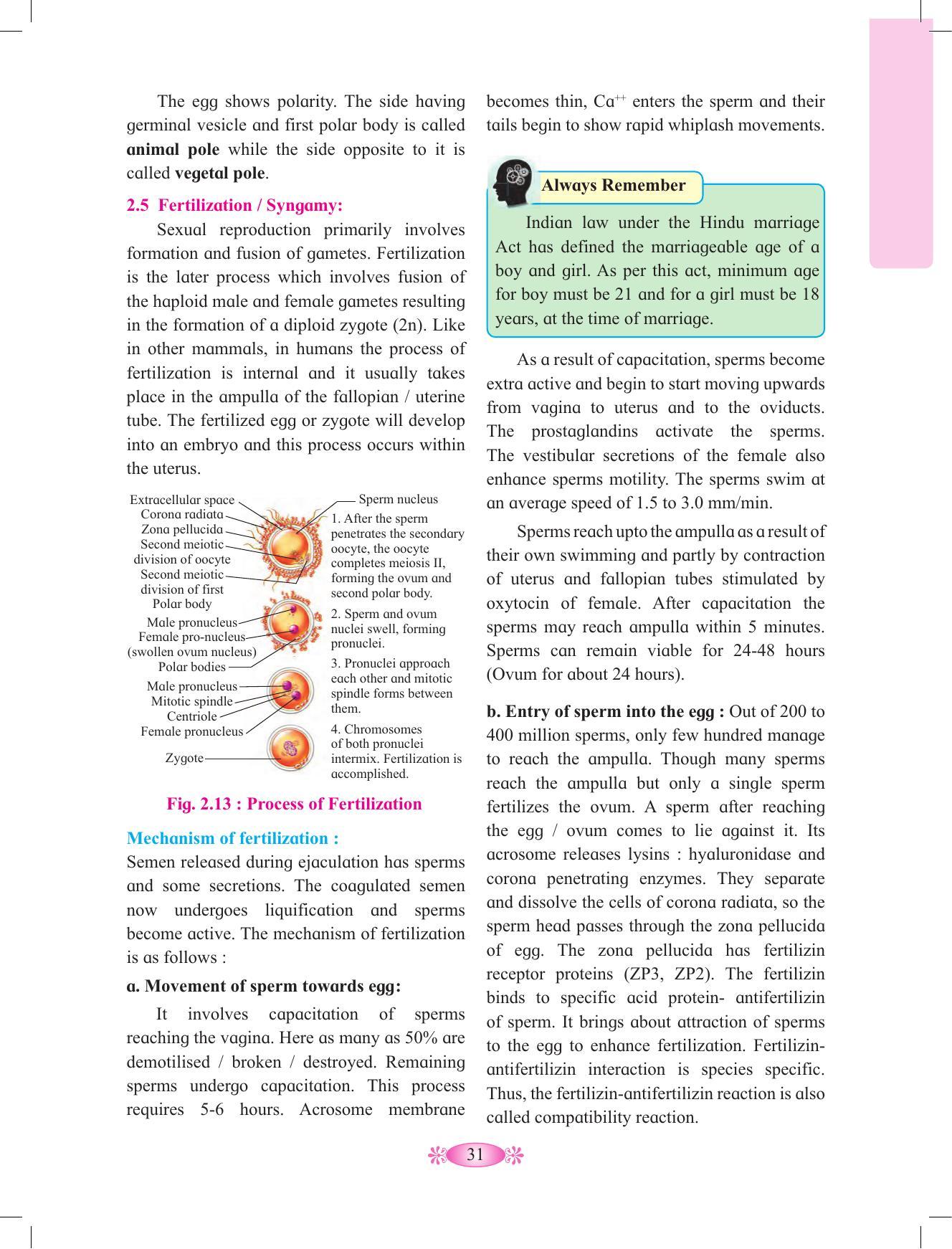 Maharashtra Board Class 12 Chemistry Textbook - Page 41