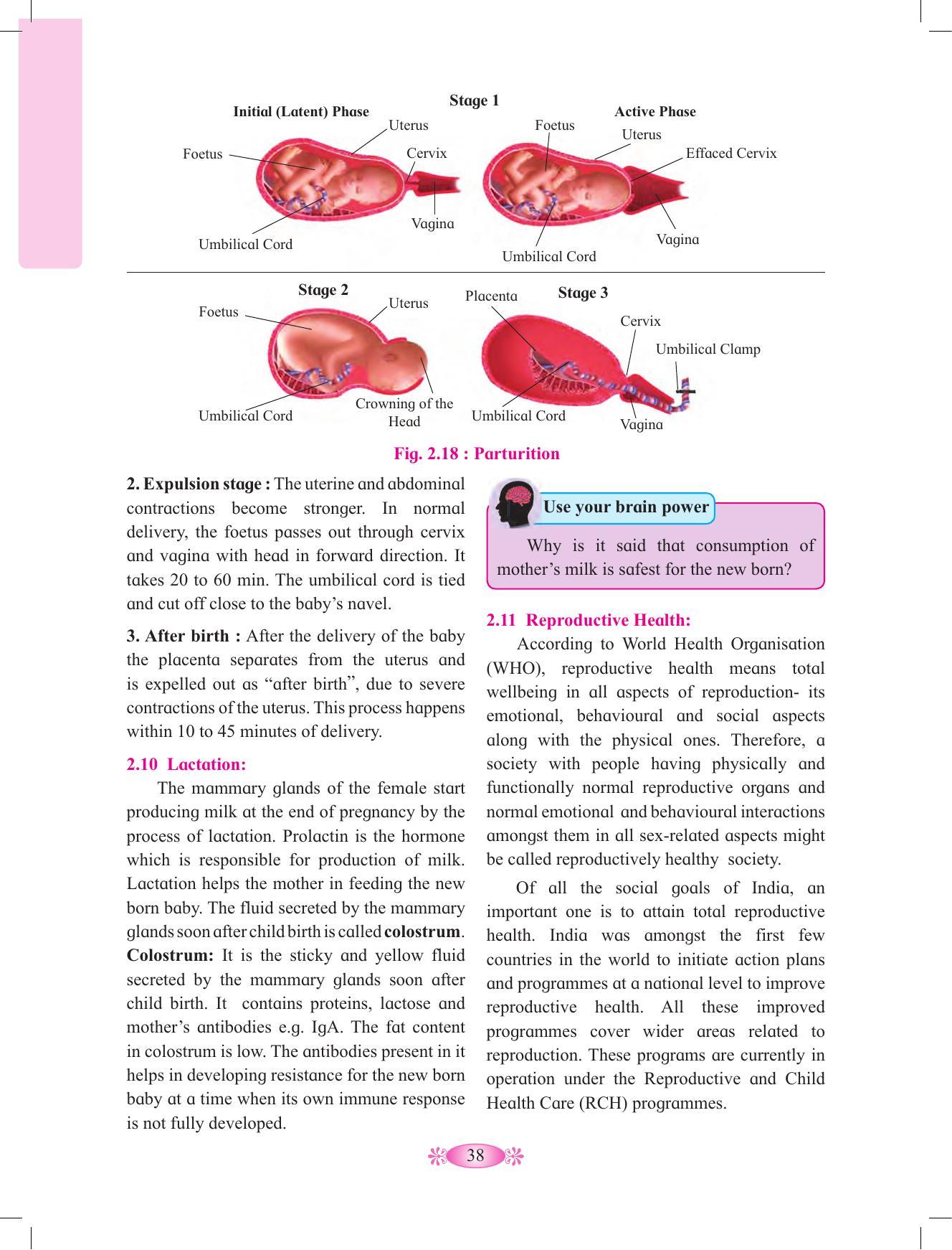 Maharashtra Board Class 12 Chemistry Textbook - Page 48