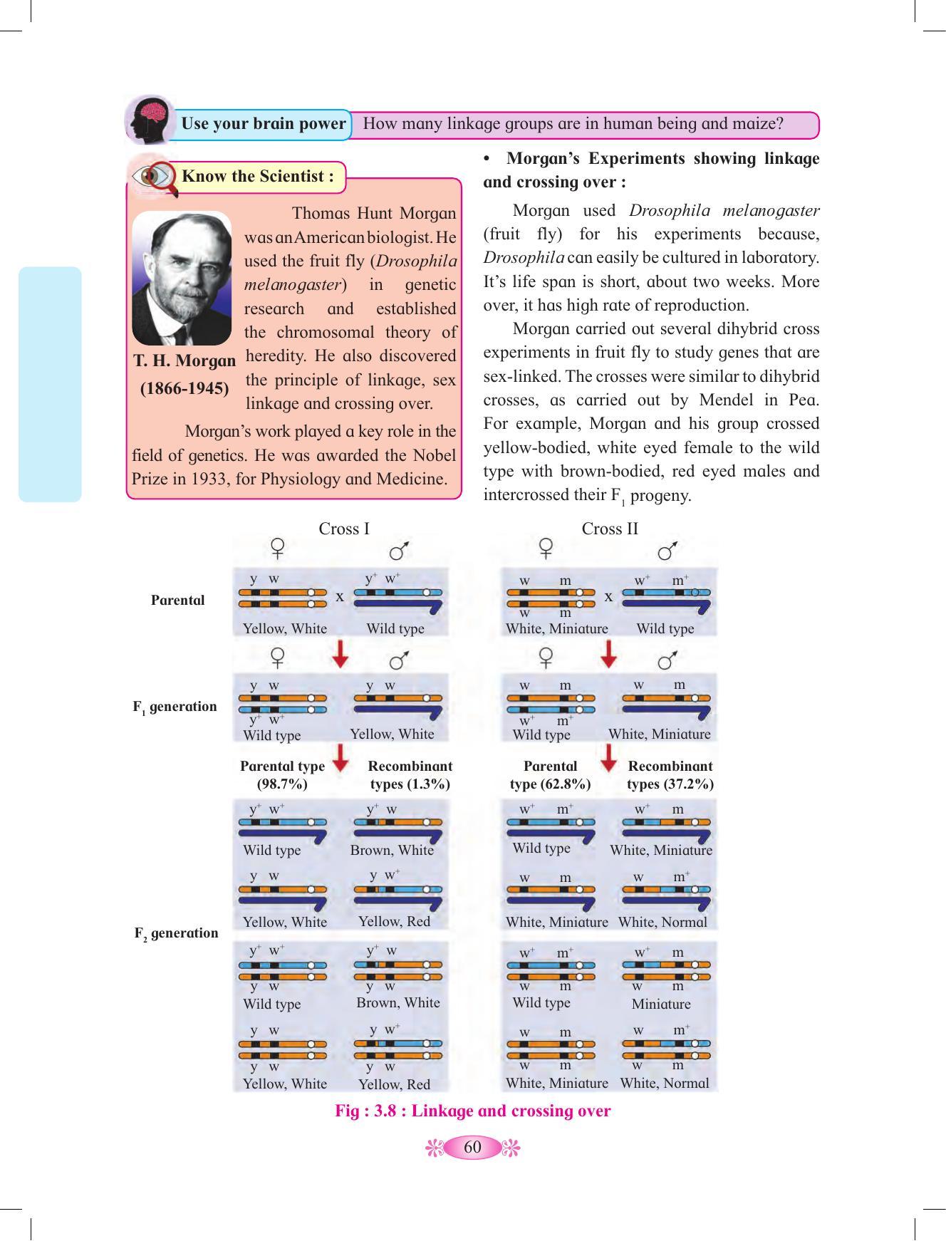 Maharashtra Board Class 12 Chemistry Textbook - Page 70