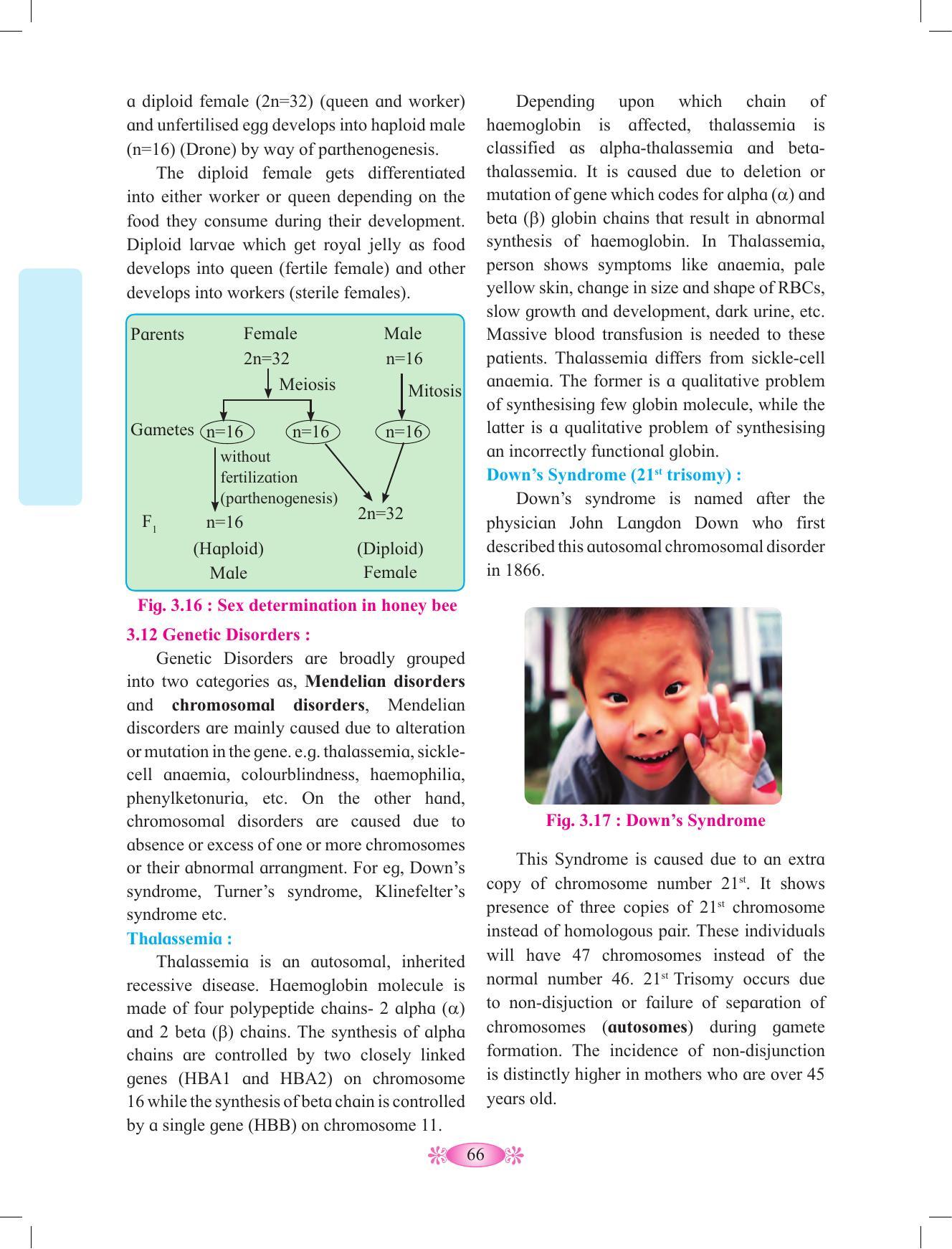 Maharashtra Board Class 12 Chemistry Textbook - Page 76