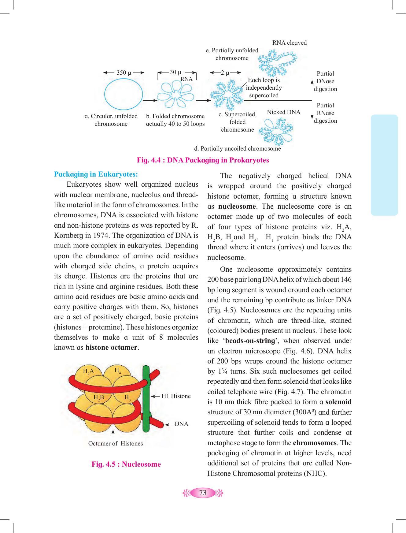 Maharashtra Board Class 12 Chemistry Textbook - Page 83