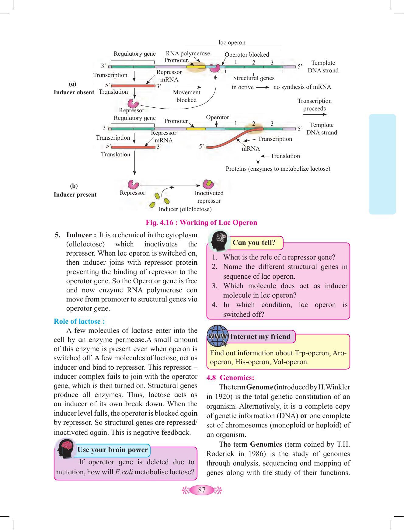 Maharashtra Board Class 12 Chemistry Textbook - Page 97