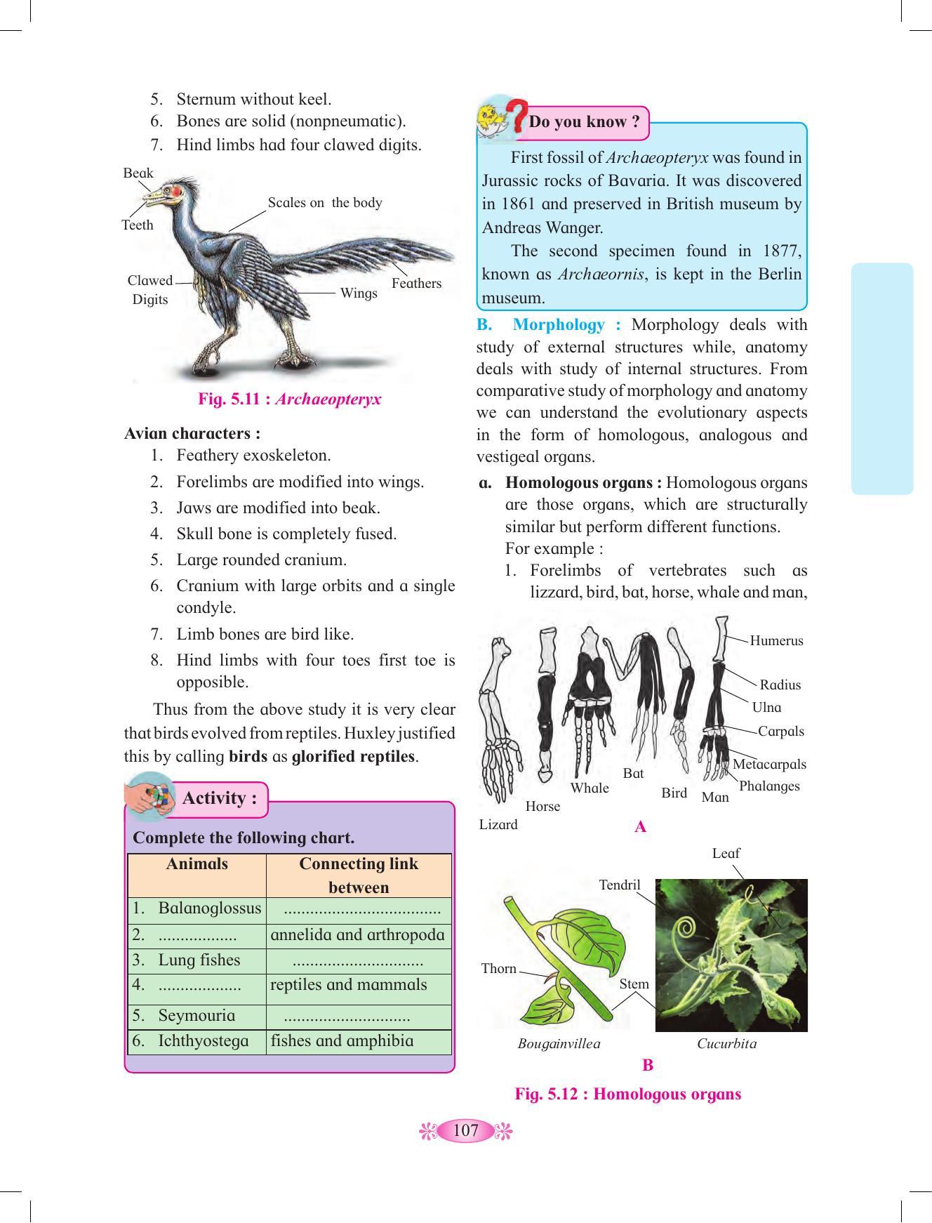 Maharashtra Board Class 12 Chemistry Textbook - Page 117