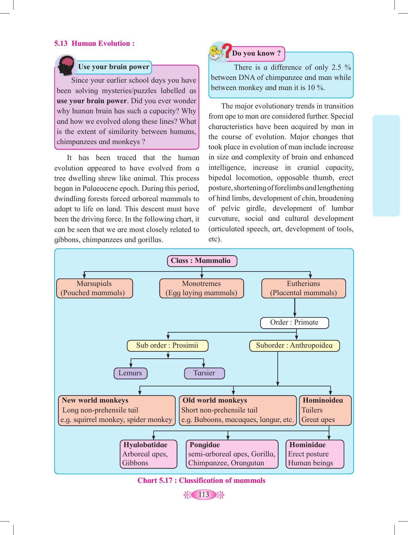 Maharashtra Board Class 12 Chemistry Textbook - Page 123