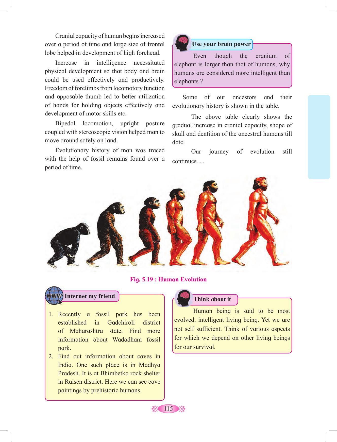 Maharashtra Board Class 12 Chemistry Textbook - Page 125