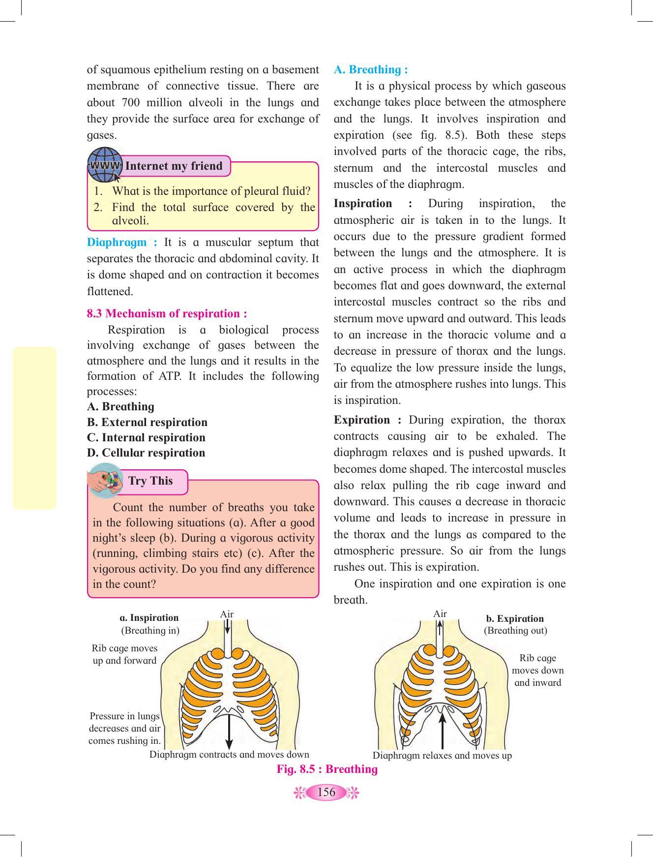Maharashtra Board Class 12 Chemistry Textbook - Page 166
