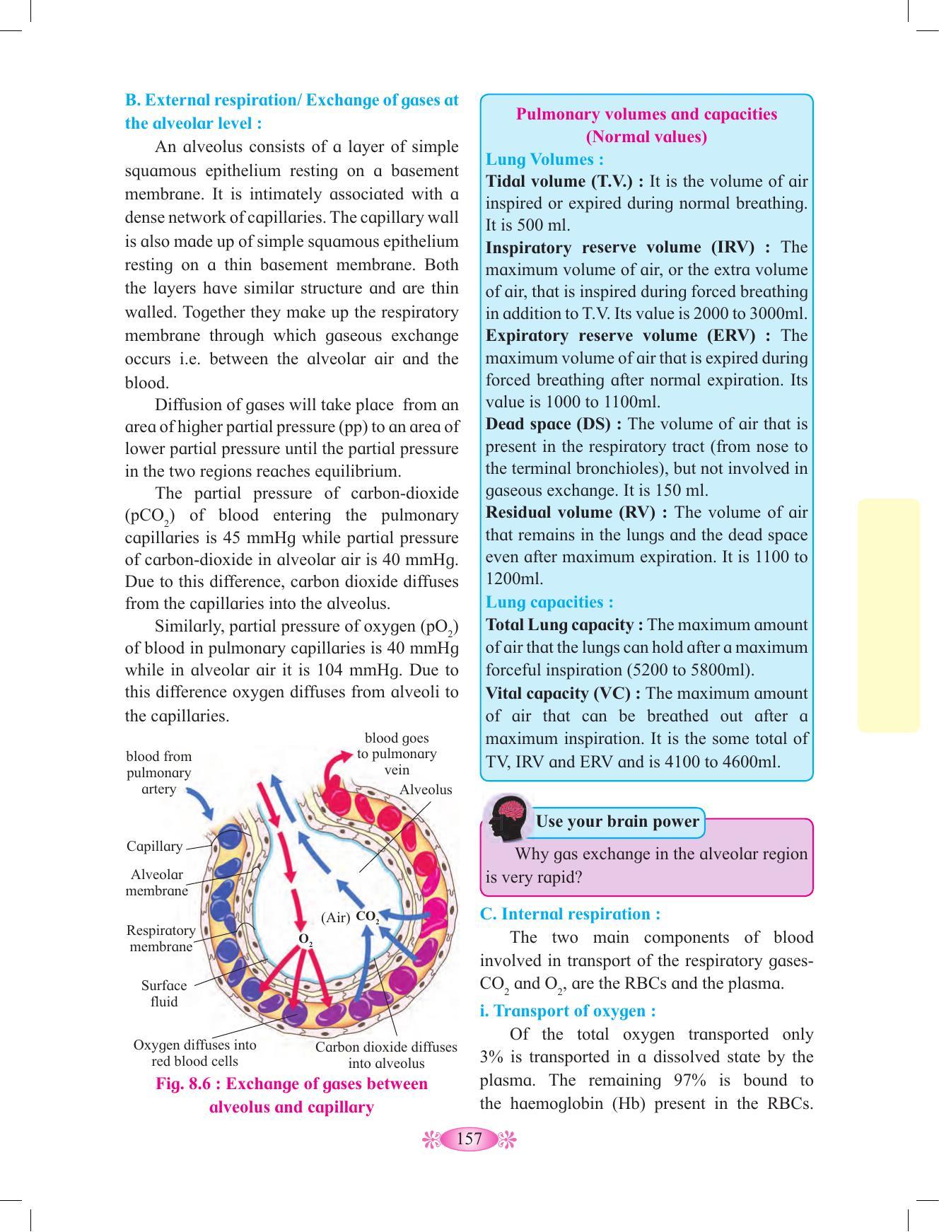 Maharashtra Board Class 12 Chemistry Textbook - Page 167