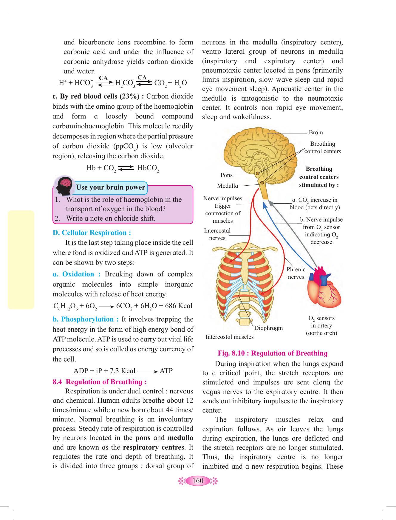 Maharashtra Board Class 12 Chemistry Textbook - Page 170