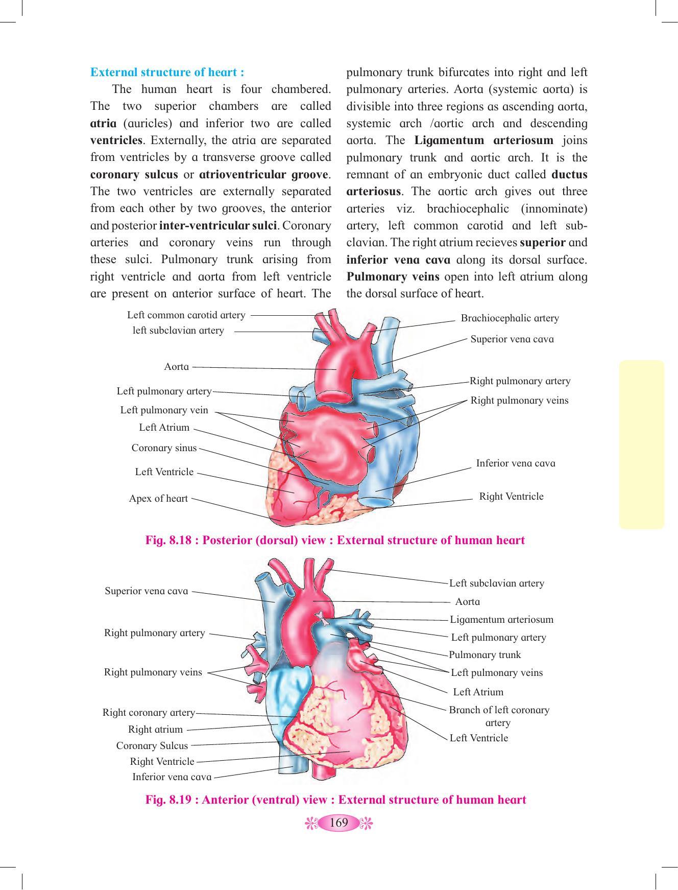Maharashtra Board Class 12 Chemistry Textbook - Page 179