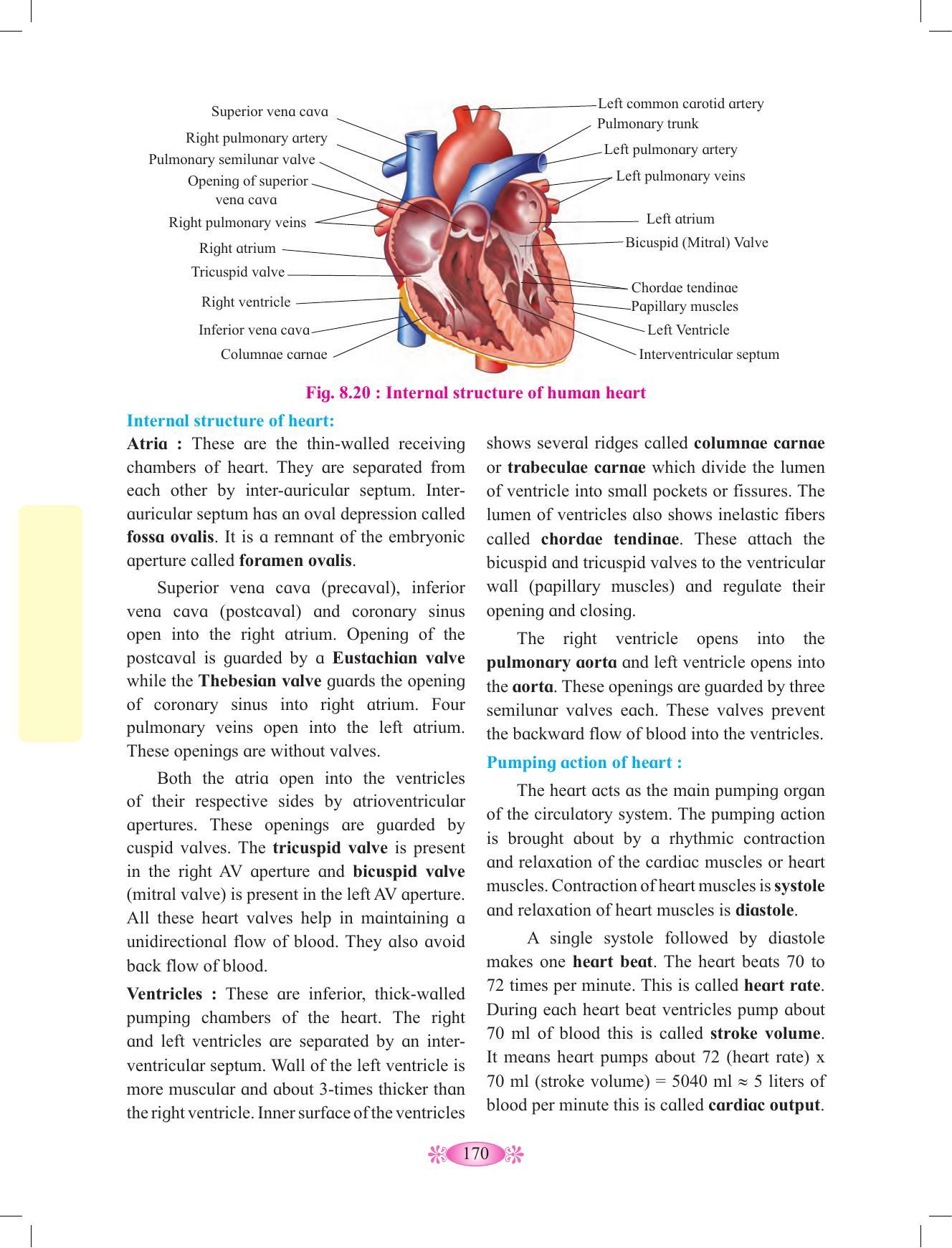 Maharashtra Board Class 12 Chemistry Textbook - Page 180