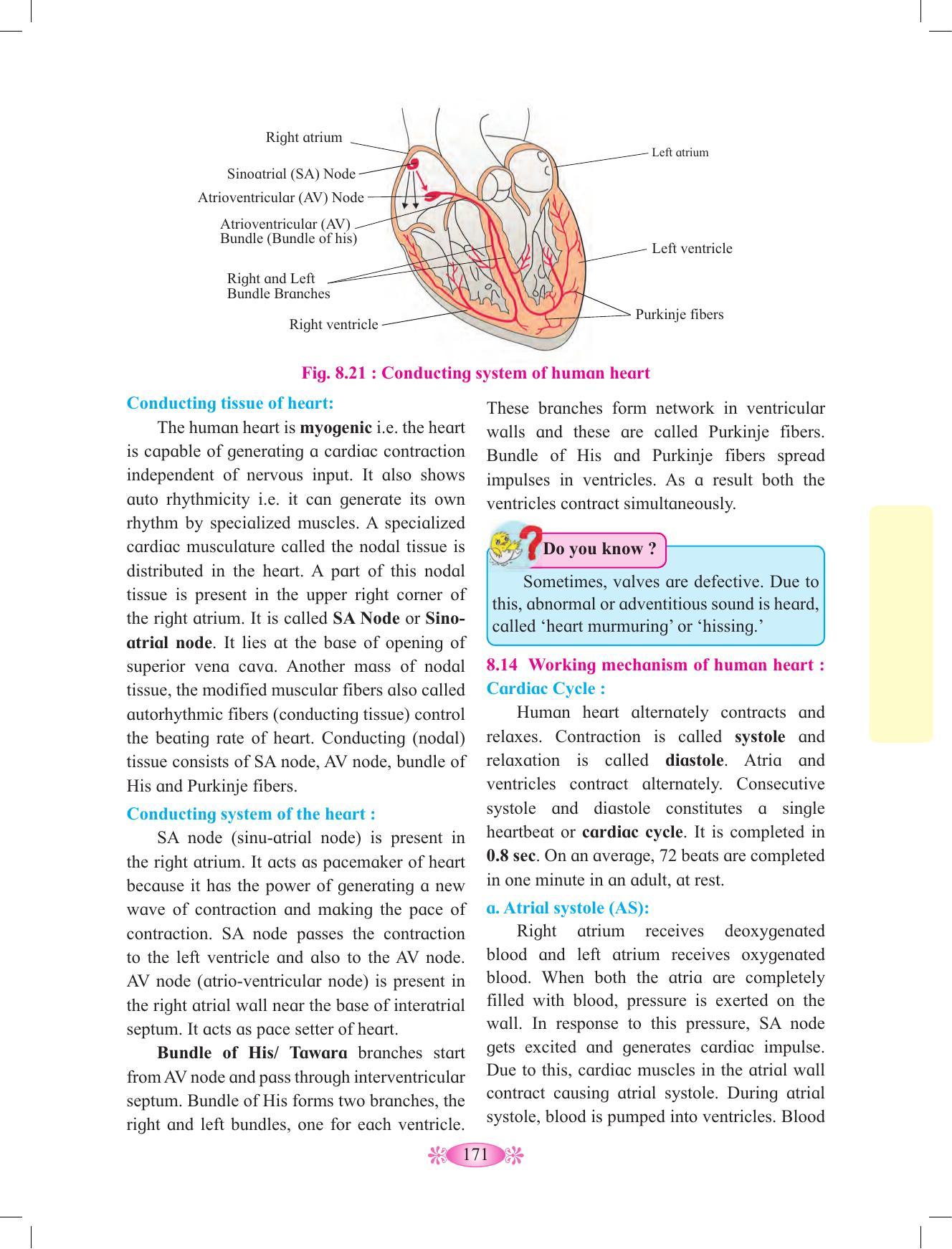 Maharashtra Board Class 12 Chemistry Textbook - Page 181