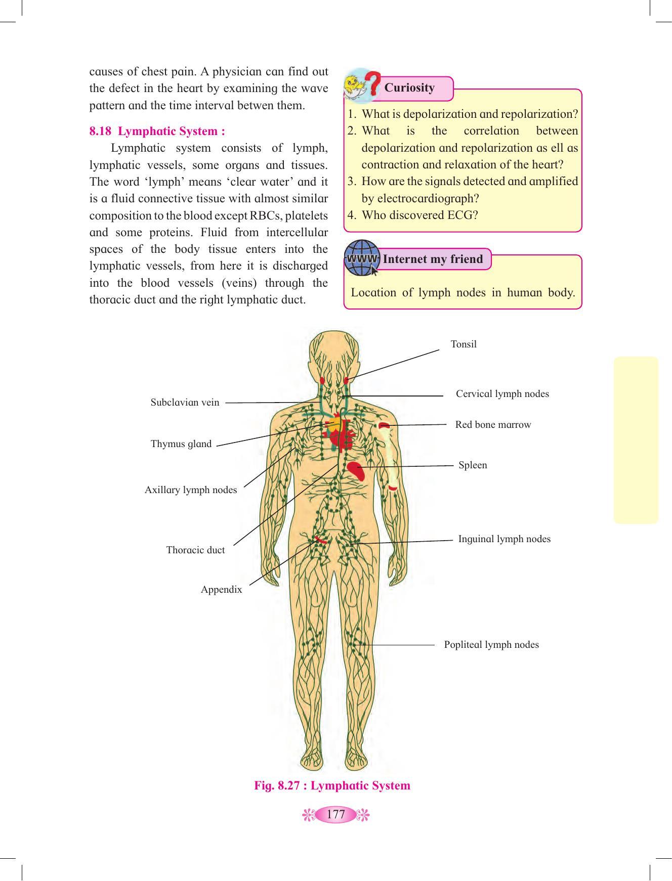 Maharashtra Board Class 12 Chemistry Textbook - Page 187