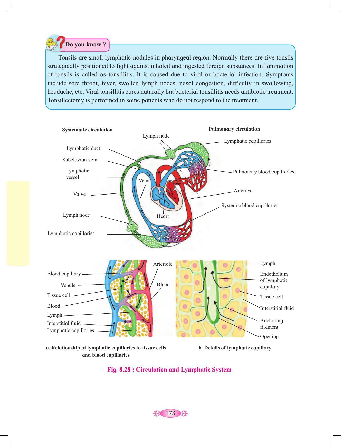 Maharashtra Board Class 12 Chemistry Textbook - Page 188