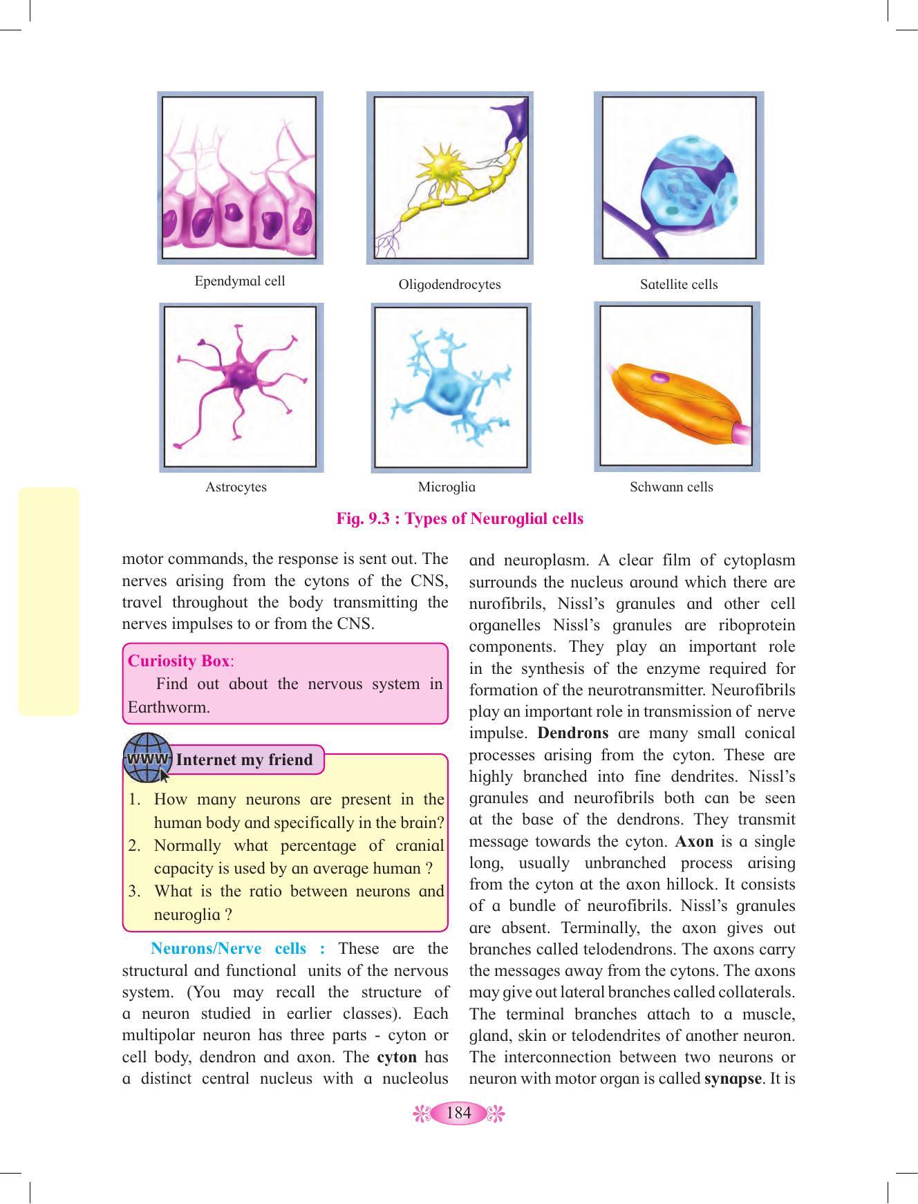 Maharashtra Board Class 12 Chemistry Textbook - Page 194