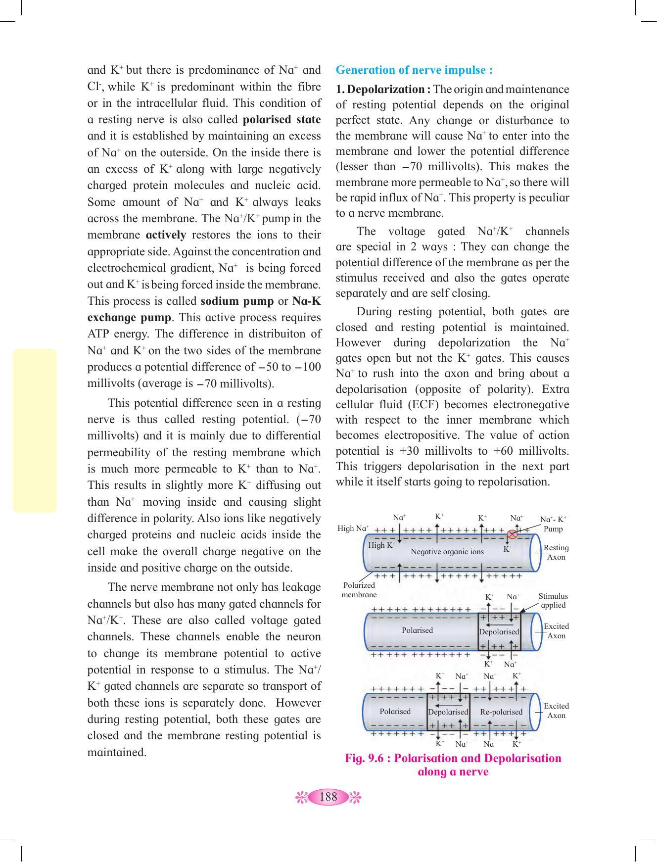 Maharashtra Board Class 12 Chemistry Textbook - Page 198