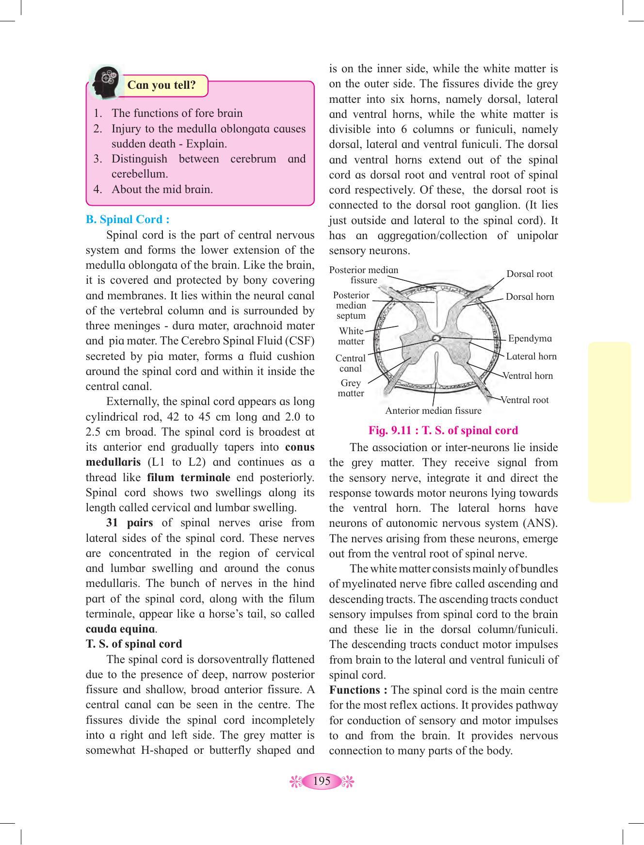 Maharashtra Board Class 12 Chemistry Textbook - Page 205