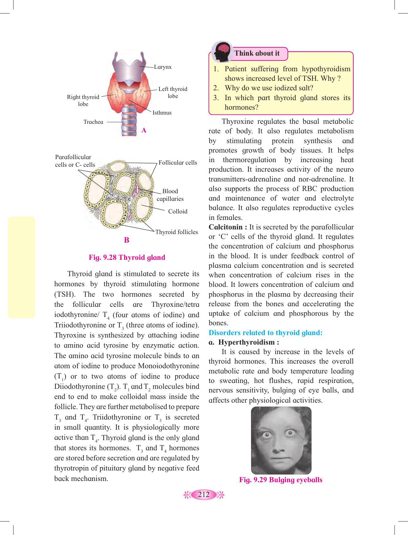 Maharashtra Board Class 12 Chemistry Textbook - Page 222