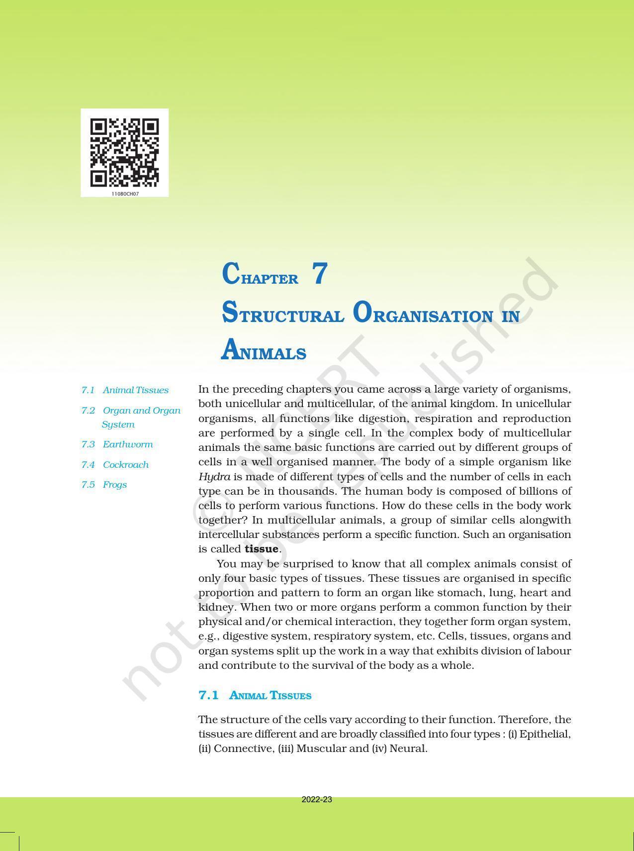 NCERT Book for Class 11 Biology Chapter 7 Structural Organisation in Animals - Page 1