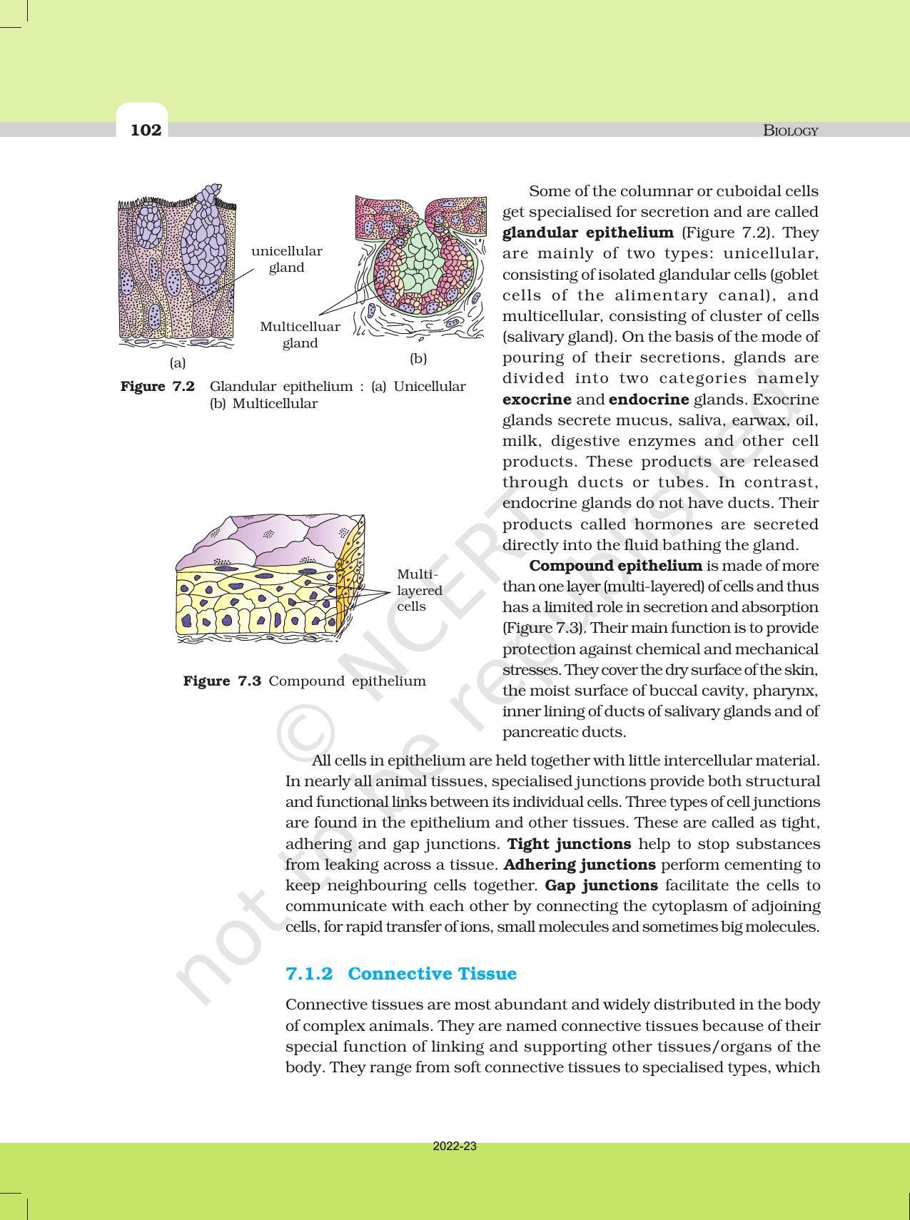NCERT Book for Class 11 Biology Chapter 7 Structural Organisation in Animals - Page 3